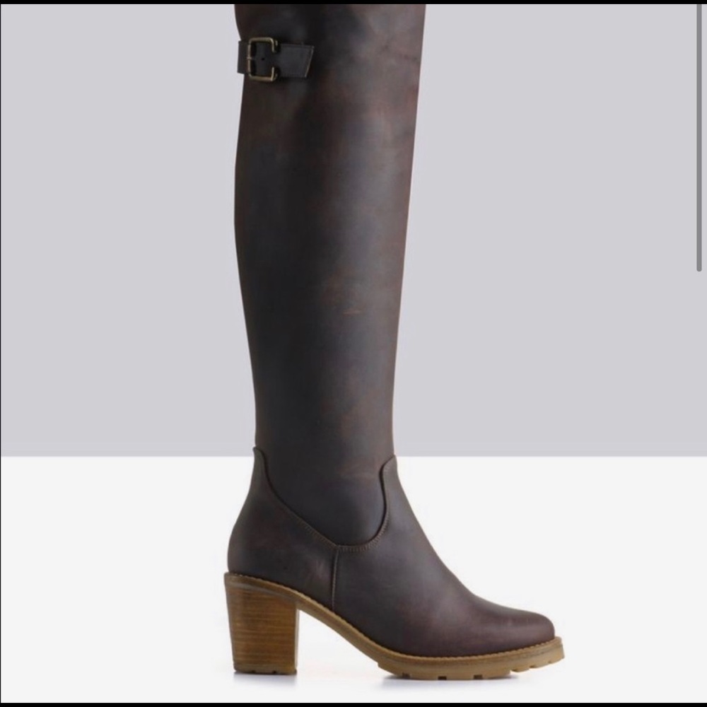 WIDE CALF | Ted & Muffy Duo Celestia Boots